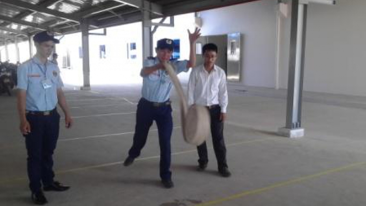 Huấn luyện Nghiệp vụ