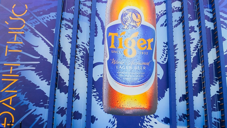 Bảo vệ chương trình Tiger Walls