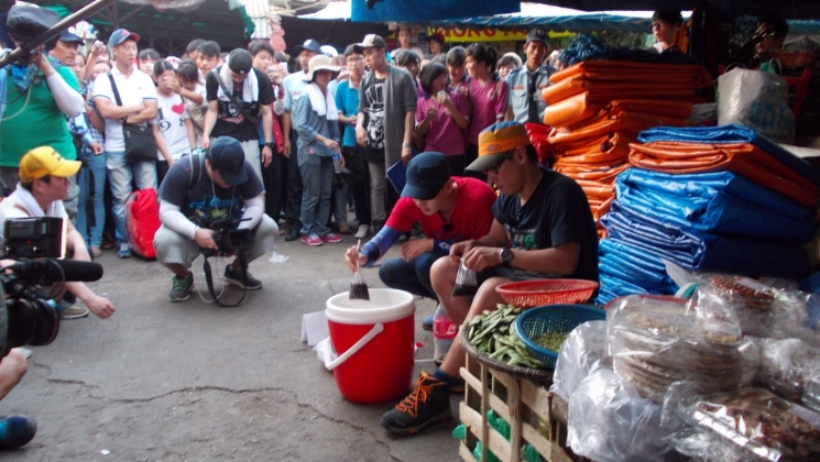 Tour Seoul tại Việt nam